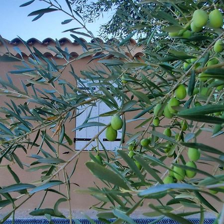 Reve En Luberon Villa Lauris Exterior photo
